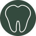 Dental Services